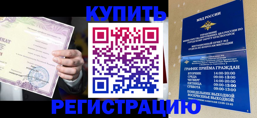 временная регистрация собственник в Снежногорске